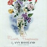 Hyacinth (Ann Haviland)