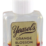 Orange Blossom (H. E. Yeasel)