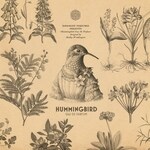 Hummingbird (Zoologist)