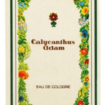 Calycanthus (Eau de Cologne) (Adam)