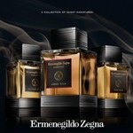 Essenze - Amber Gold (Ermenegildo Zegna)