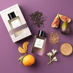 Fig Infusion (Essential Parfums)