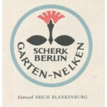 Garten-Nelken (Scherk)