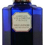 Wild Lavender / Inglese (Lorenzo Villoresi)