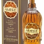 Ambre / Amber (Eau de Toilette) (L'Occitane en Provence)