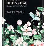 Cherry Blossom (Eau de Parfum) (Nou)