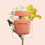 Narciso (Eau de Parfum Ambrée) (Narciso Rodriguez)