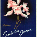 Orchidea Bianca (Profumo) (Garmella)