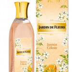 Jardin de Fleurs - Jasmin Céleste (Mon Plaisir)